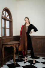 Zari reversable shawl - Image 2