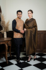 Women Shawl ( Zari reversable shawl) - Image 5